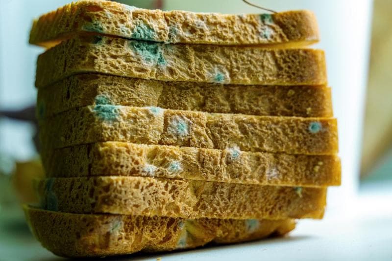 Jamur yang terlihat di permukaan roti hanyalah awal dari kontaminasi. (Gettyimages/Istockphoto)