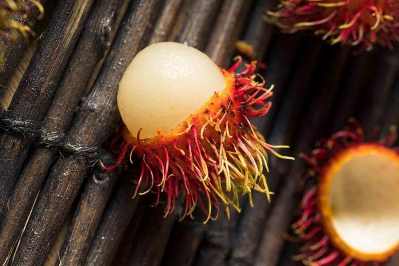 Ace dan Rambutan, Beda atau Sama Saja?