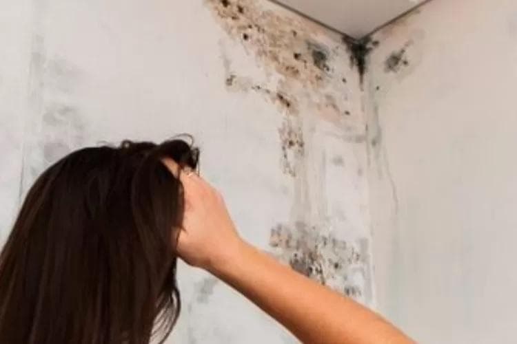 Jangan Biarkan Jamur Hitam Mengganggu Kesehatanmu!