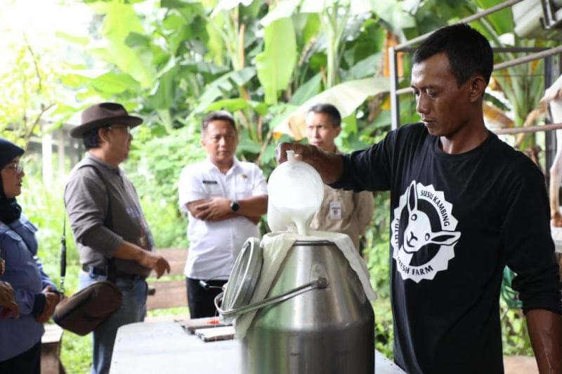 Susu kambing dan domba dari Jawa Tengah berkontribusi besar terhadap penyediaan protein hewani nasional. (dok. Humas Pemprov Jateng)