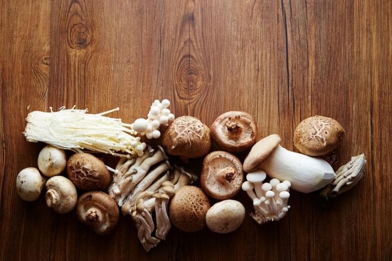 Apakah jamur juga bisa jamuran sehingga nggak lagi layak dikonsumsi? (lottemart)