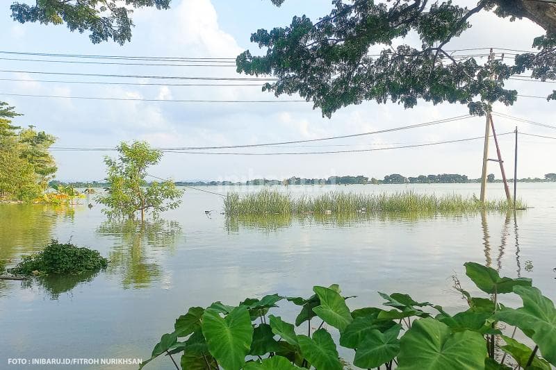 Area persawahan seperti lautan karena terdampak banjir cukup tinggi.&nbsp;