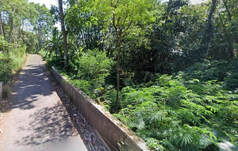 Pengantin baru nggak berani lewat jalan dekat dengan Watu Penganten. (Google Street View)