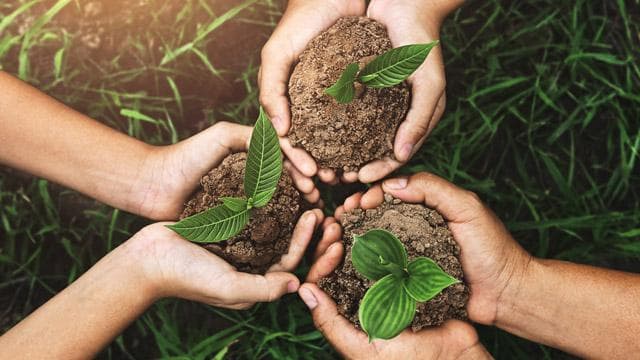 Hari Bumi Lahir dari Gerakan yang Lagi Tren di Amerika Serikat pada 1970