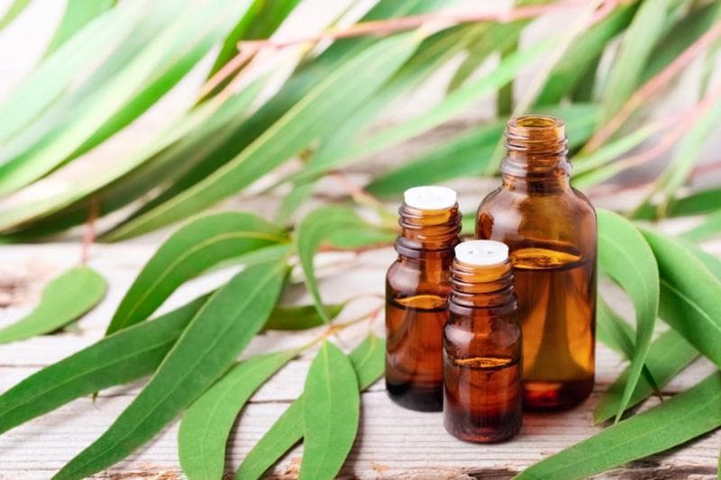 Minyak kayu putih bersifat keset sehingga bisa membuat kemampuan pelumasan oleh bahan bakar menjadi menurun. (Shutterstock/Amyalv)