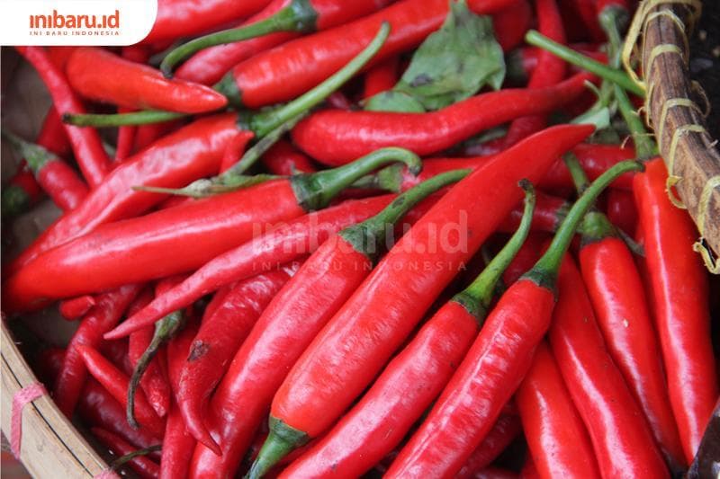 (Inibaru.id/ Triawanda Tirta Aditya)