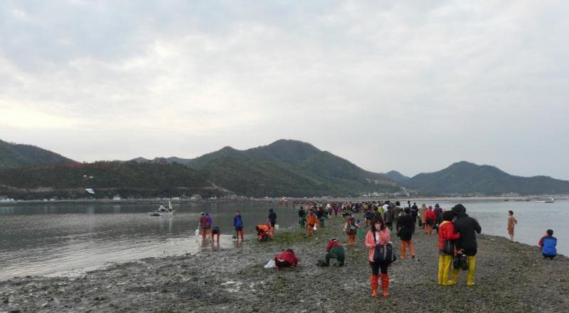 Begitu air laut surut, warga mencari kerang atau berjalan menuju ke Pulau Modo. (Wikipedia/Piotrus)