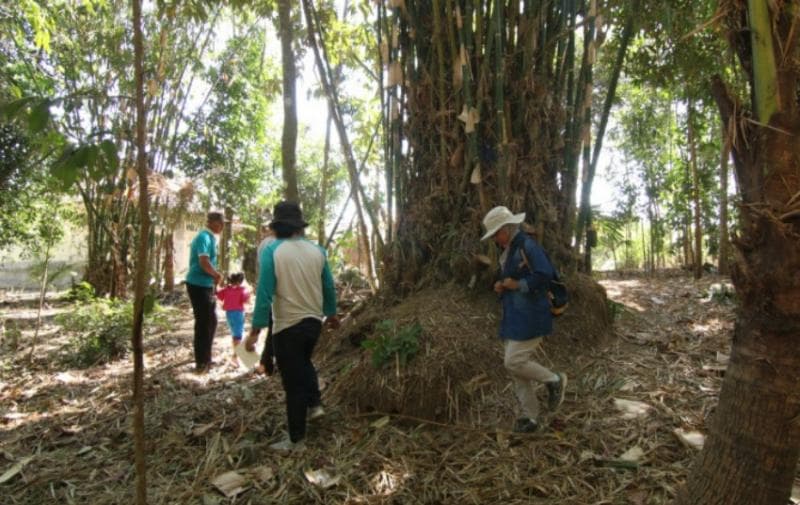 Penelitian di Situs Gunung Wingko. (UGM/Sheila Ayu Rachmadiena)