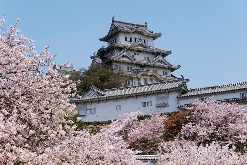 Tiket Kastil Himeji bakal naik 4 kali lipat. (Wikipedia/663highland)