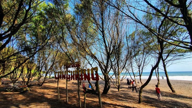 Pantai Cangkring Bantul. (Pemkab Bantul)