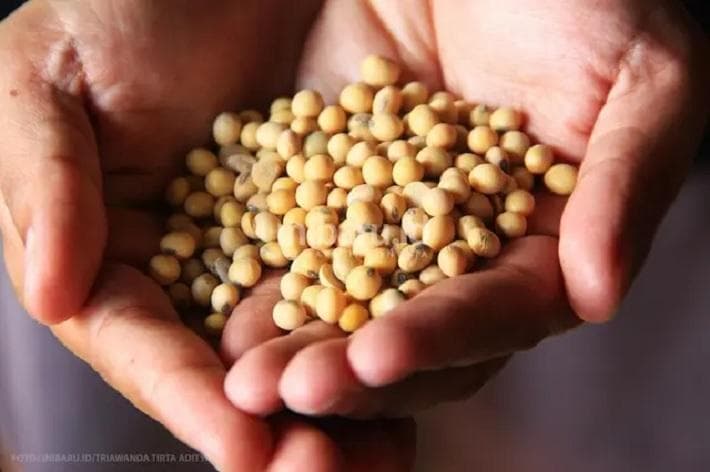 Industri tahu tempe dihantam semakin mahalnya harga bahan baku kedelai impor. (Inibaru.id/Triawanda Tirta Aditya)