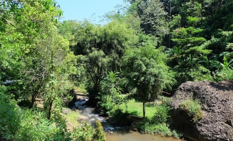 Pemandangan alam di sekitar Curug Winong yang masih asri. (Googleuser/Dodi Dodi)