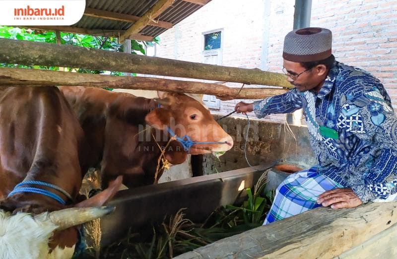 Subarwi tengah melaksanakan tradisi ngalungi sapi pada Selasa Kliwon di bulan Suro.&nbsp;(Inibaru.id/ Rizki Arganingsih) 