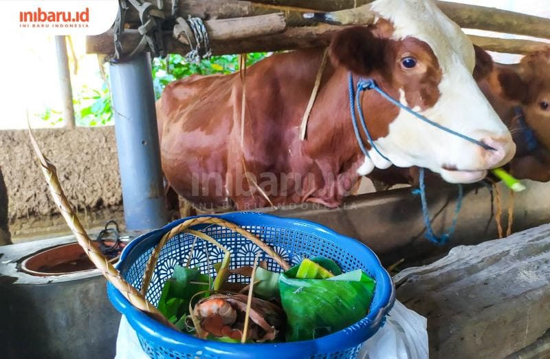 Sesaji digantung di atas kandang setelah proses pembacaan doa oleh modin selesai.&nbsp;(Inibaru.id/ Rizki Arganingsih) 