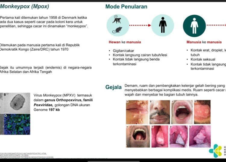 Informasi dasar Mpox yang perlu kita ketahui. (Kemenkes)