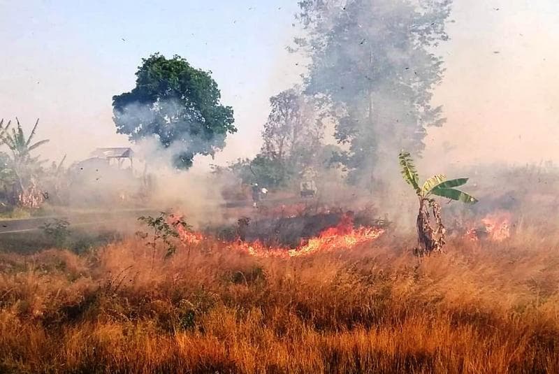 Selama musim kemarau berangin, masyarakat dilarang membakar semak-semak tanpa pengawasan. (Taryani)