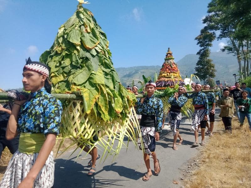 Tradisi Tungguk Tembakau di Boyolali. (Elshinta/Sarwoto)