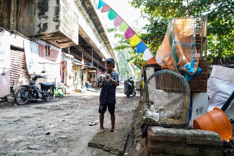 Seorang anak tengah bermain burung di seberang rumahnya yang berada di kolong jalan layang.