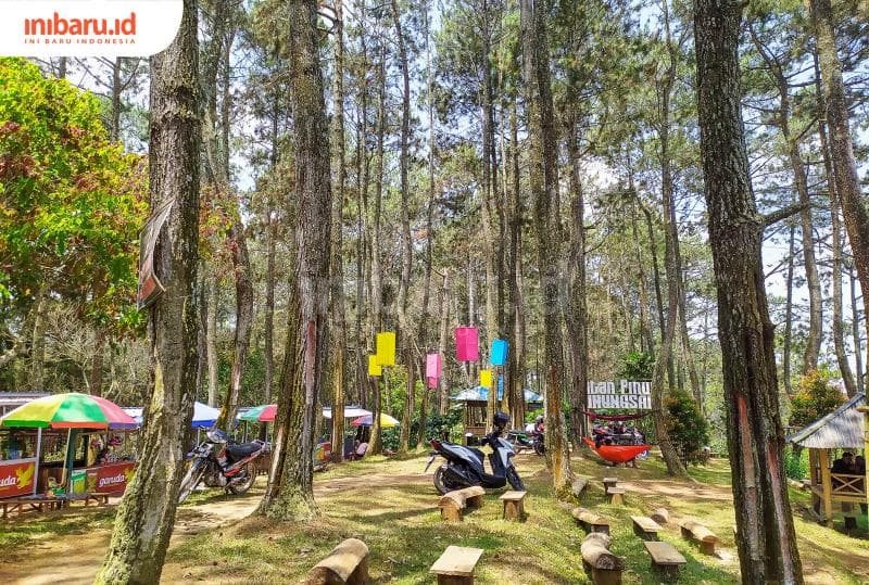 Suasana tenang dan sejuk di area utama Hutan Pinus Gunungsari.&nbsp;(Inibaru.id/ Rizki Arganingsih)