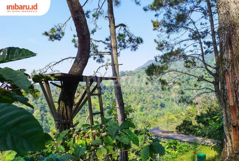 Salah satu rumah pohon dengan view lereng pegunungan Muria yang sangat memanjakan mata.&nbsp;(Inibaru.id/ Rizki Arganingsih)