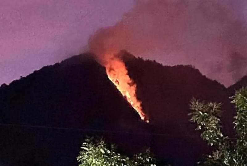 Area yang terbakar di Gunung Telomoyo berupa lereng dan jurang, diduga berawal dari aktivitas warga membakar rumput atau daun. (Antara/BPBP Jateng)