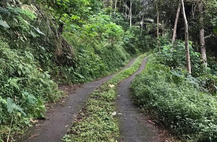 Jalan menuju Air Terjun Citro Arum yang masih asri. (Googleuser/Imam Santosa)