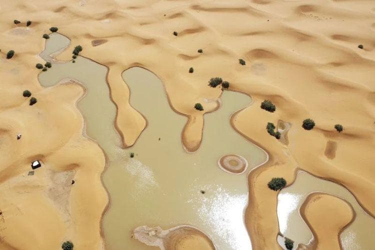 Danau kering yang belakangan terisi air di Gurun Sahara. (AP)