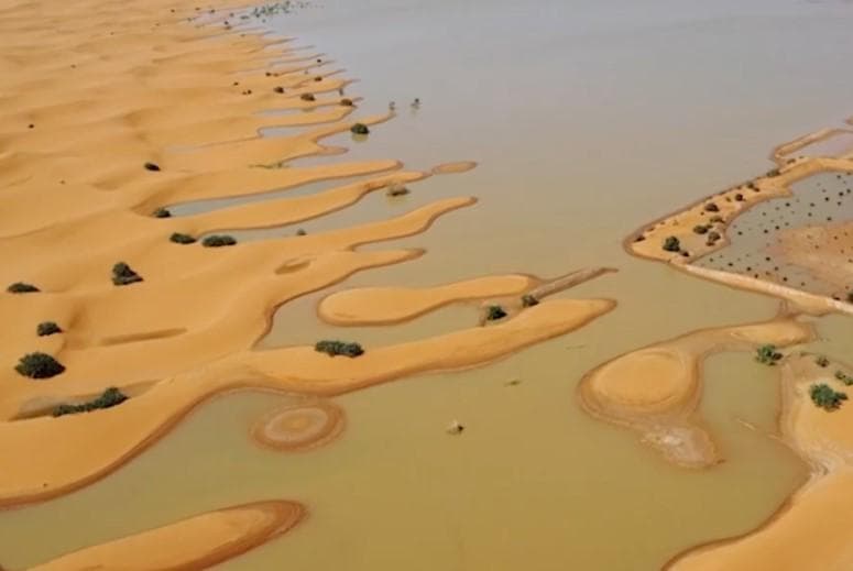 Setelah lebih dari 5 dekade kering, kini danau ini kembali terisi air. (AP)