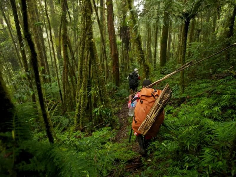 &nbsp;Ada cara agar pendaki gunung yang tersesat bisa selamat. (Fimela)