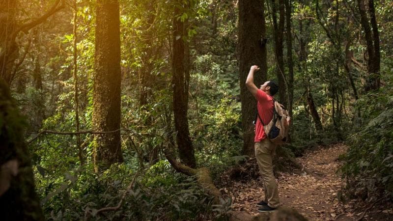 Persiapan mendaki gunung penting untuk dilakukan. (Freepik)