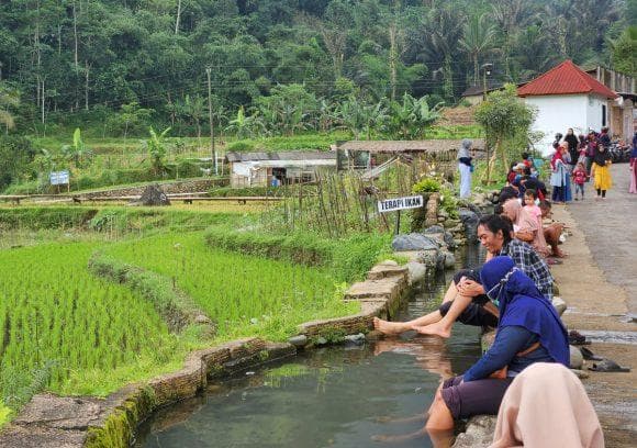 Salah satu spot favorit wisatawan di Kalikesek: terapi ikan. (Wisata Jateng)