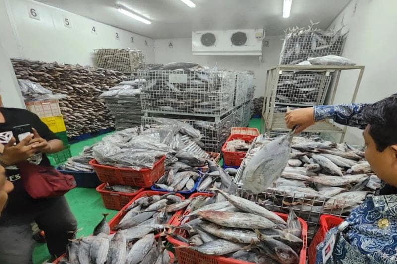 Pelabuhan Pantai Gesing ini diperkirakan bisa mensuplai ikan di DIY sebanyak kurang lebih 5.000 ton per tahunnya. (Antara/Heri Susanto)