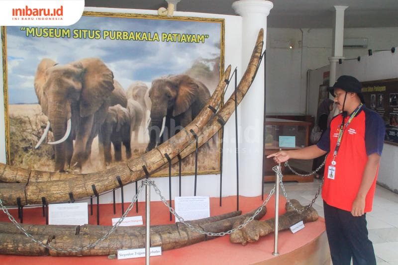 Ari Mustakim, edukator museum sedang menjelaskan tentang penemuan gading gajah purba. (Inibaru.id/ Imam Khanafi)