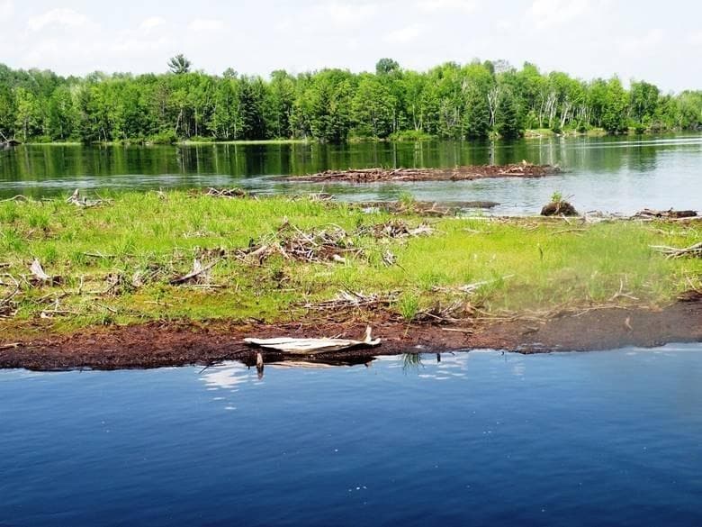 Pulau terapung di Danau Chippewa sekilas mirip seperti pulau biasa. (Chippewaflowage)