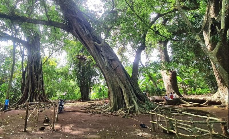 Kompleks Candi Poh Brebes. (Emsatunews)