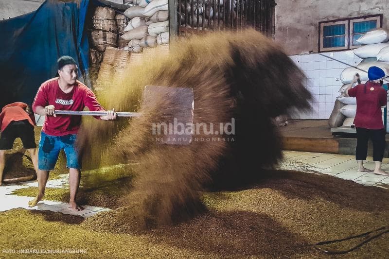 Proses pengeringan tembakau di Pabrik Rokok Praoe Lajar sebelum masuk tahap pelintingan.