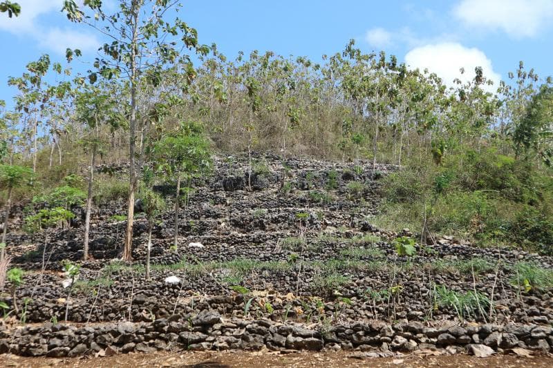 Penampakan bukit karst di Gunungkidul yang dulunya adalah dasar lautan. (Javlec Indonesia)