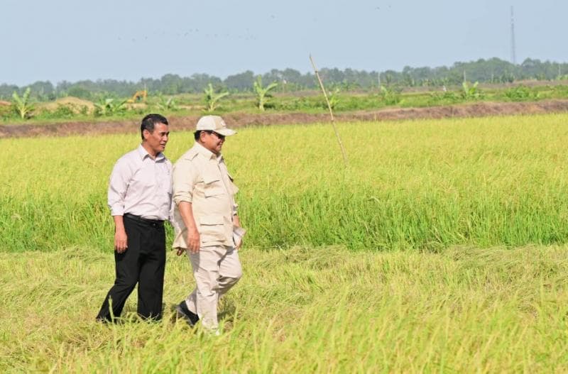 Menelisik Rencana Prabowo Pengin Indonesia Hentikan Impor Beras Mulai 2025