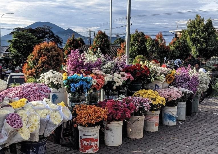 Aneka bunga yang dijual di Pasar Bunga Bandungan. (X/lekesut)