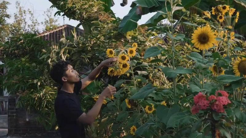 Firgiawan di akun X @merekamcahaya yang kerap membagikan kehidupan 'slow living'. (X/Merekamcahaya)