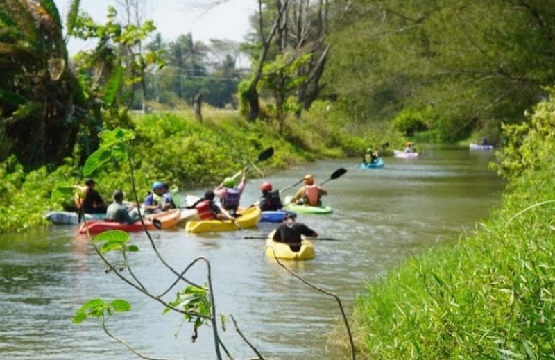 Wisata kano di kawasan mangrove Baros, Bantul, DIY. (Googleuser/Anis Hassanizaki)