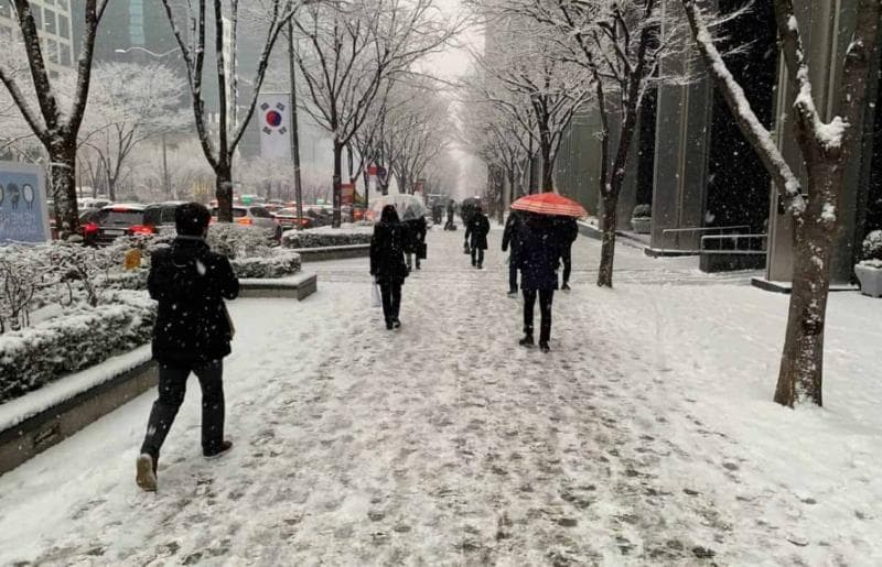 Intip Aktivitas Siswa di Korea yang Libur Lebih dari Sebulan saat Musim Dingin