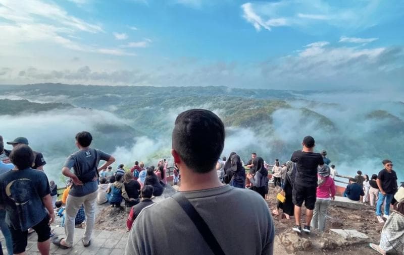 Wisatawan menikmati lautan awan di Kebun Buah Mangunan Yogyakarta. (Googleuser/Aang Afrianto)