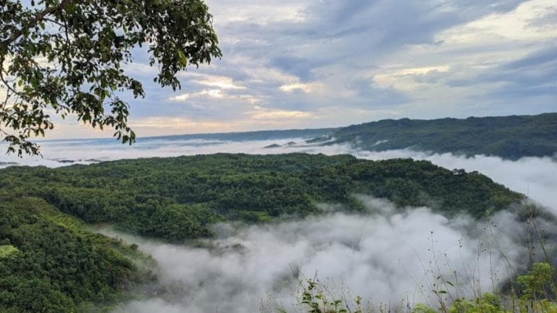 Pemandangan Lautan Awan di Kebun Buah Mangunan yang indah. (Googleuser/Nanda)