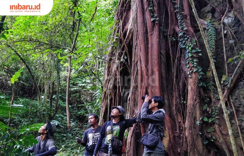 Pengamatan rutin dilakukan untuk memantau populasi&nbsp; burung-burung rentan punah di Pegunungan Muria. (Inibaru.id/ Imam Khanafi)