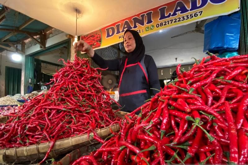 Harga cabai kini sedang melambung tinggi. Di beberapa daerah harganya sampai setara dengan harga daging sapi. (Antara/Akmal Saputra)