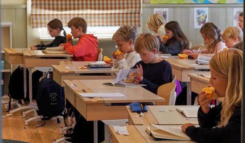 Siswa sekolah di Swedia bakal diminta untuk lebih banyak membaca buku. (AP Photo/David Keyton)