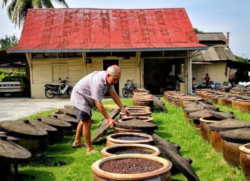 Racikan kedelai untuk membuat kecap dimasukkan dalam pot yang diletakkan di luar ruangan agar terfermentasi dengan sempurna. (Facebook/Hup Teck via NST)&nbsp;