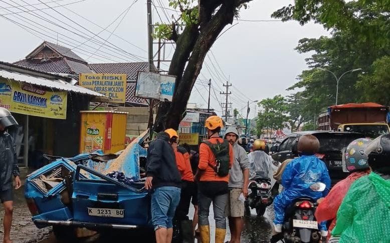 Petugas evakuasi SAR tengah mengecek kondisi mobil yang tertimpa pohon di Jalan Ngaliyan Raya, Semarang. (Inibaru.id/Danny Adriadhi Utama).