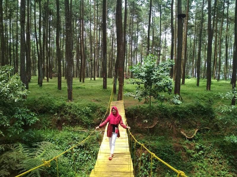 Wana Wisata Prabalintang cocok untuk dijadikan tempat piknik. (Smartoutbound.wordpress)